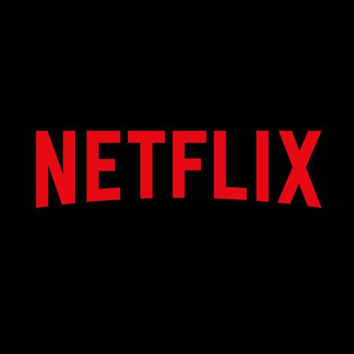 NETFLIX (UNA PANTALLA)